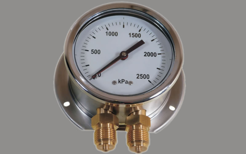 Duplex Industrial Pressure Gauges